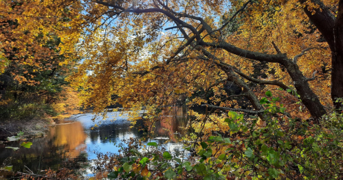 A serene river scene surrounded by vibrant autumn foliage and reflections on the water.
