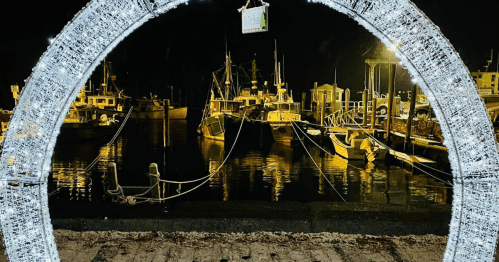 A nighttime view of a marina with boats reflected in the water, framed by a circular light installation.