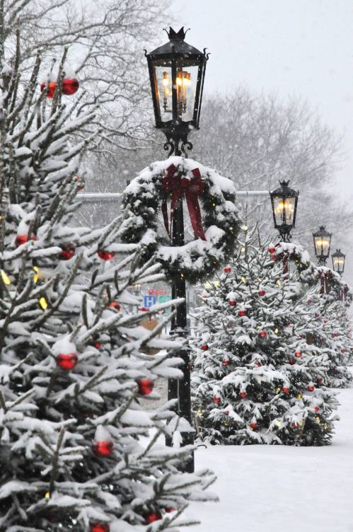 Snow-covered Christmas trees line a street, adorned with red ornaments and surrounded by festive lanterns in a winter scene.
