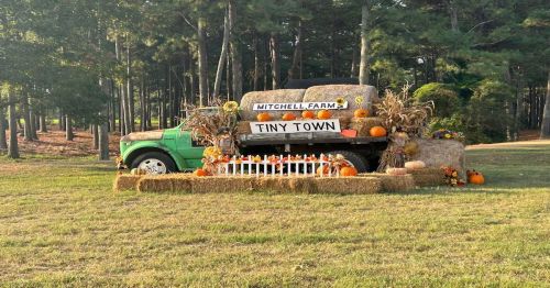 A green truck decorated with hay bales, pumpkins, and fall decor, labeled "Mitchell Farm Tiny Town" in a grassy area.