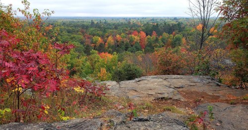 A scenic view from a rocky outcrop, showcasing vibrant autumn foliage in shades of red, orange, and green.