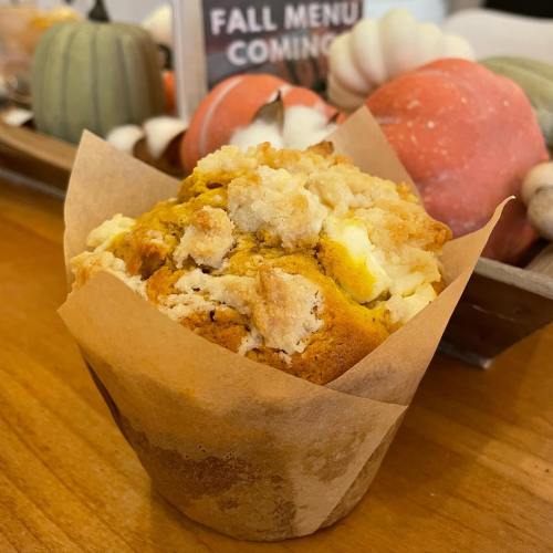 A freshly baked muffin in a paper wrapper, surrounded by decorative fall-themed gourds and shells.