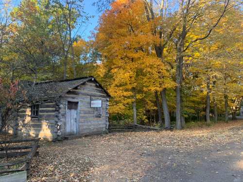A rustic log cabin surrounded by vibrant autumn trees with colorful leaves on a sunny day.