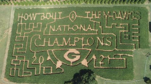 Aerial view of a corn maze featuring the text "How Bout Them Dawgs" and "National Champions" with a football design.