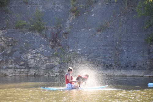 A person and a dog on a paddleboard, splashing water in a serene river setting with rocky cliffs in the background.