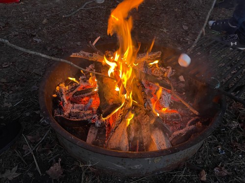 A campfire with bright flames and glowing embers, with marshmallows being roasted on sticks nearby.