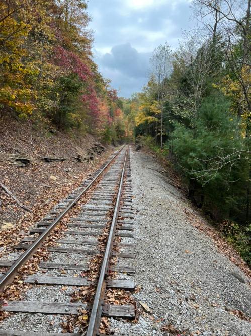 A view of a railway track surrounded by colorful autumn trees and rocky terrain under a cloudy sky.