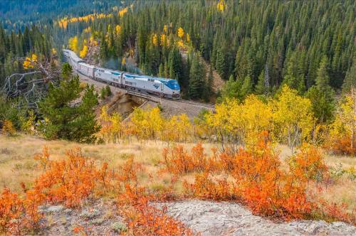 A train travels through a colorful autumn landscape with vibrant orange and yellow foliage and evergreen trees.