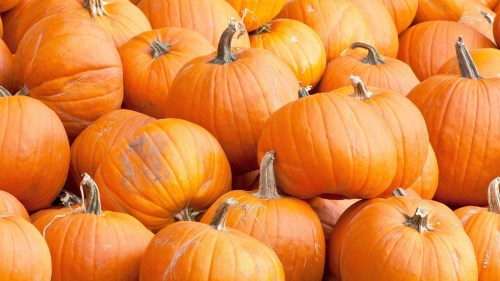 A pile of bright orange pumpkins stacked together, showcasing their smooth surfaces and green stems.