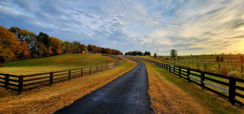A winding road through a scenic landscape with green fields and trees under a cloudy sky at sunset.