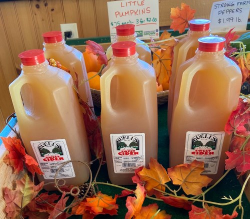 Six jugs of apple cider on a table surrounded by autumn leaves and a sign for pumpkins and peppers.