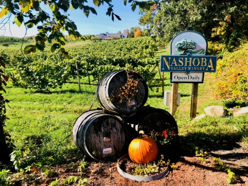A sign for Nashoba Valley Winery near stacked barrels and a pumpkin, with vineyards and trees in the background.
