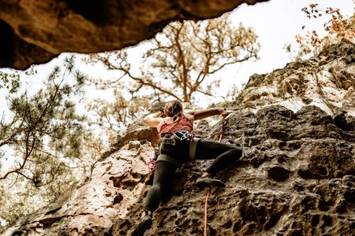 A climber ascends a rocky wall, focused and determined, with trees visible in the background.