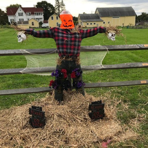 A scarecrow with a pumpkin head holds skulls, surrounded by hay, flowers, and signs reading "Beware" and "Go Back."
