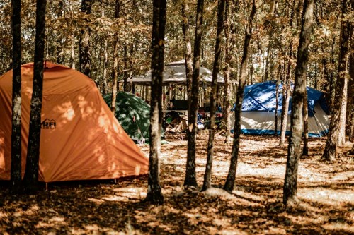 A campsite in a forest with orange, green, and blue tents surrounded by trees and fallen leaves.