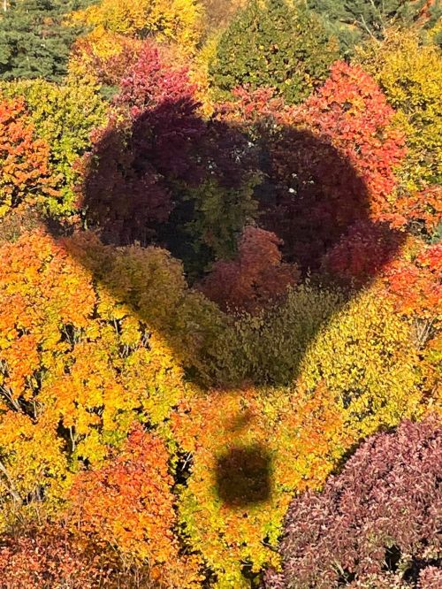 A heart-shaped shadow of a hot air balloon cast over vibrant autumn foliage in shades of red, orange, and yellow.
