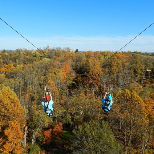 Two people ziplining through a colorful autumn forest under a clear blue sky.
