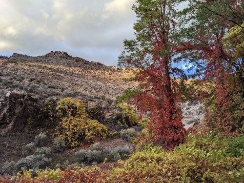 A scenic landscape featuring colorful autumn foliage, rocky hills, and a mix of trees under a cloudy sky.