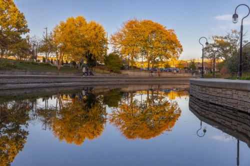 A serene park scene with vibrant autumn trees reflecting in calm water under a clear blue sky.