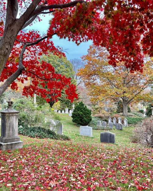 A serene cemetery scene with vibrant red and orange autumn leaves scattered on the ground among gravestones.