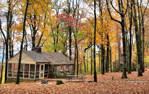 Two rustic cabins surrounded by vibrant autumn foliage and fallen leaves in a serene forest setting.