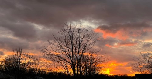 Silhouetted trees against a dramatic sunset with vibrant orange and gray clouds.