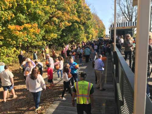 A crowded outdoor scene with people enjoying a fall festival, surrounded by colorful autumn trees.