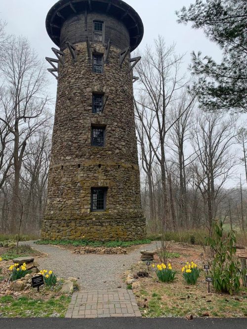 A tall stone tower surrounded by trees and blooming yellow flowers in a serene, misty landscape.