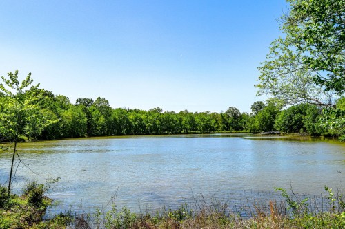A serene lake surrounded by lush green trees under a clear blue sky.