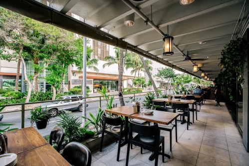 Outdoor dining area with wooden tables, plants, and a view of a street lined with palm trees and buildings.