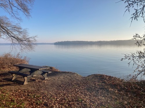 A serene lakeside view with a picnic table, surrounded by bare trees and calm water reflecting the clear sky.