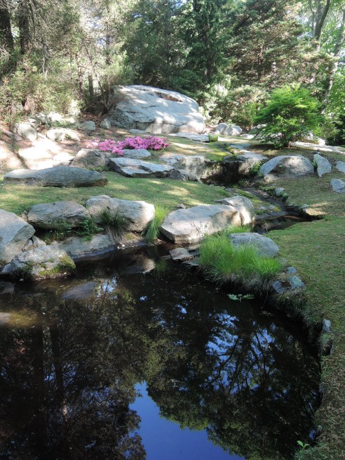 A serene garden scene with a pond, rocks, and colorful flowers surrounded by lush greenery and trees.