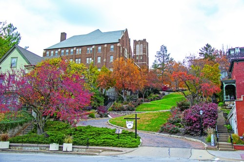 A scenic view of a tree-lined street with colorful autumn foliage and a historic building in the background.