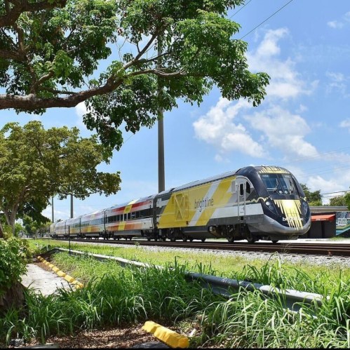 A colorful train passes by lush greenery under a clear blue sky, showcasing modern rail transport.