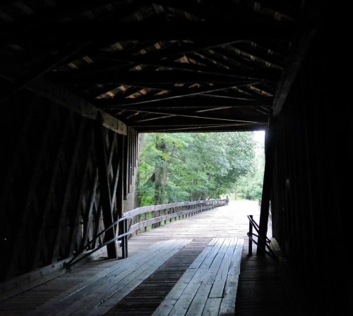 View from inside a covered bridge, leading to a path surrounded by greenery and natural light.