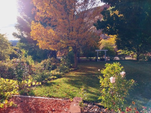 A vibrant garden scene with colorful autumn trees, green grass, and blooming flowers under a sunny sky.