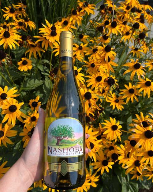 A hand holds a bottle of Nashoba Valley Winery dry white wine in front of vibrant yellow flowers.