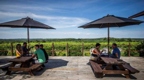 People enjoying drinks at outdoor tables under umbrellas, with a scenic vineyard view in the background.