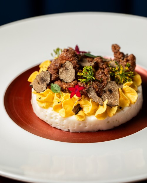 A gourmet dish featuring creamy yellow puree, topped with crispy elements, truffle slices, and edible flowers.