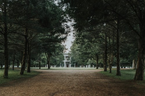 A pathway lined with trees leads to a distant building, surrounded by lush greenery.