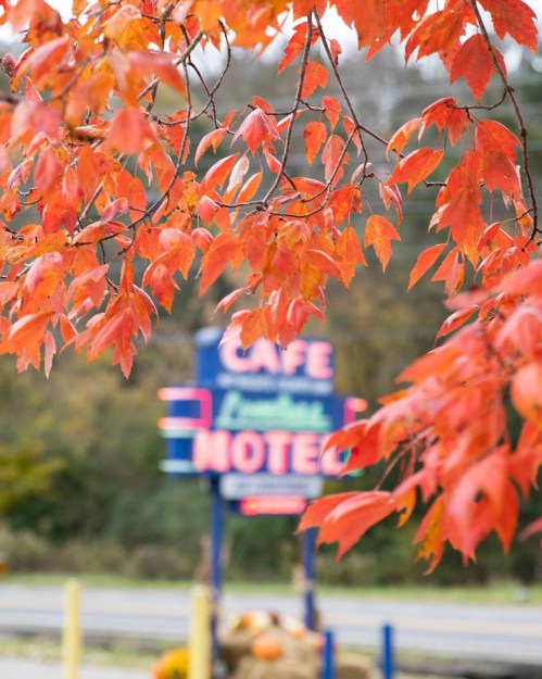 Vibrant red leaves in the foreground with a colorful café sign blurred in the background.
