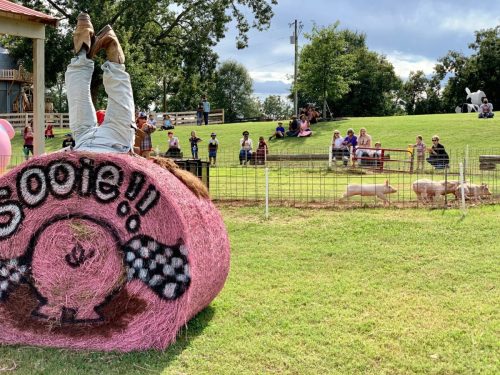 A person upside down on a hay bale, with spectators watching pigs race in the background at a farm event.