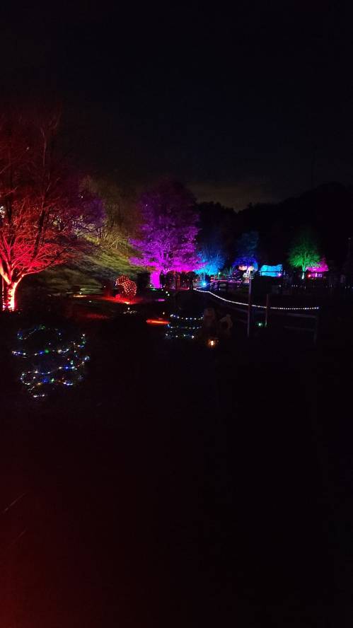 Colorful lights illuminate trees and pathways in a dark landscape, creating a festive nighttime scene.