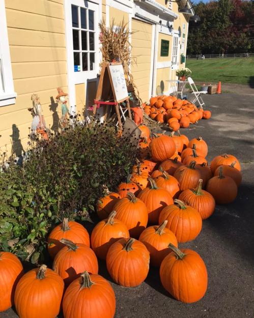 A variety of bright orange pumpkins displayed outside a yellow building, with a sign and decorative plants nearby.