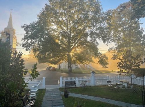 A large tree stands in a foggy scene, with sunlight streaming through, illuminating a quiet street and nearby church.