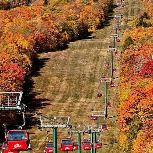 A scenic view of a ski lift surrounded by vibrant autumn foliage on a hillside.