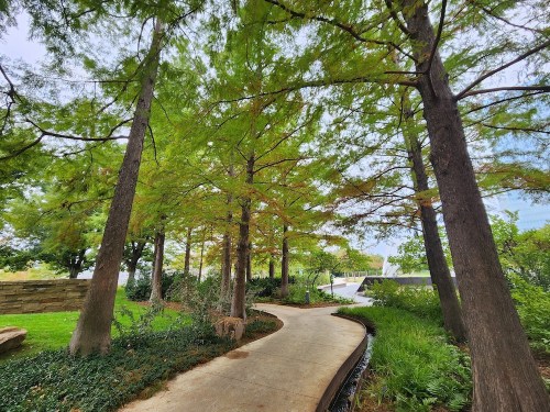 A winding path through a lush green park, lined with tall trees and vibrant foliage under a clear sky.