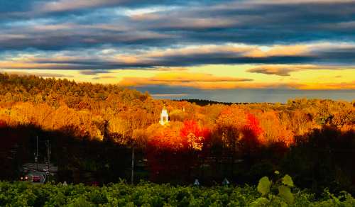 A scenic view of autumn foliage with a distant building under a dramatic sky at sunset.