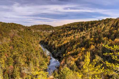 A scenic view of a river winding through a forested valley with autumn foliage under a blue sky.