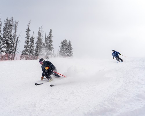 Two skiers navigate a snowy slope, surrounded by trees, with snow falling in a cloudy sky.